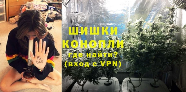 гидра Протвино