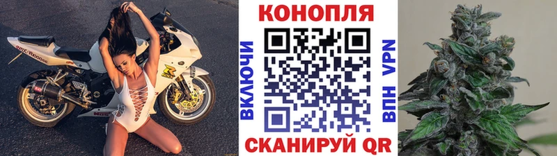 Марихуана AK-47  купить закладку  Алдан 